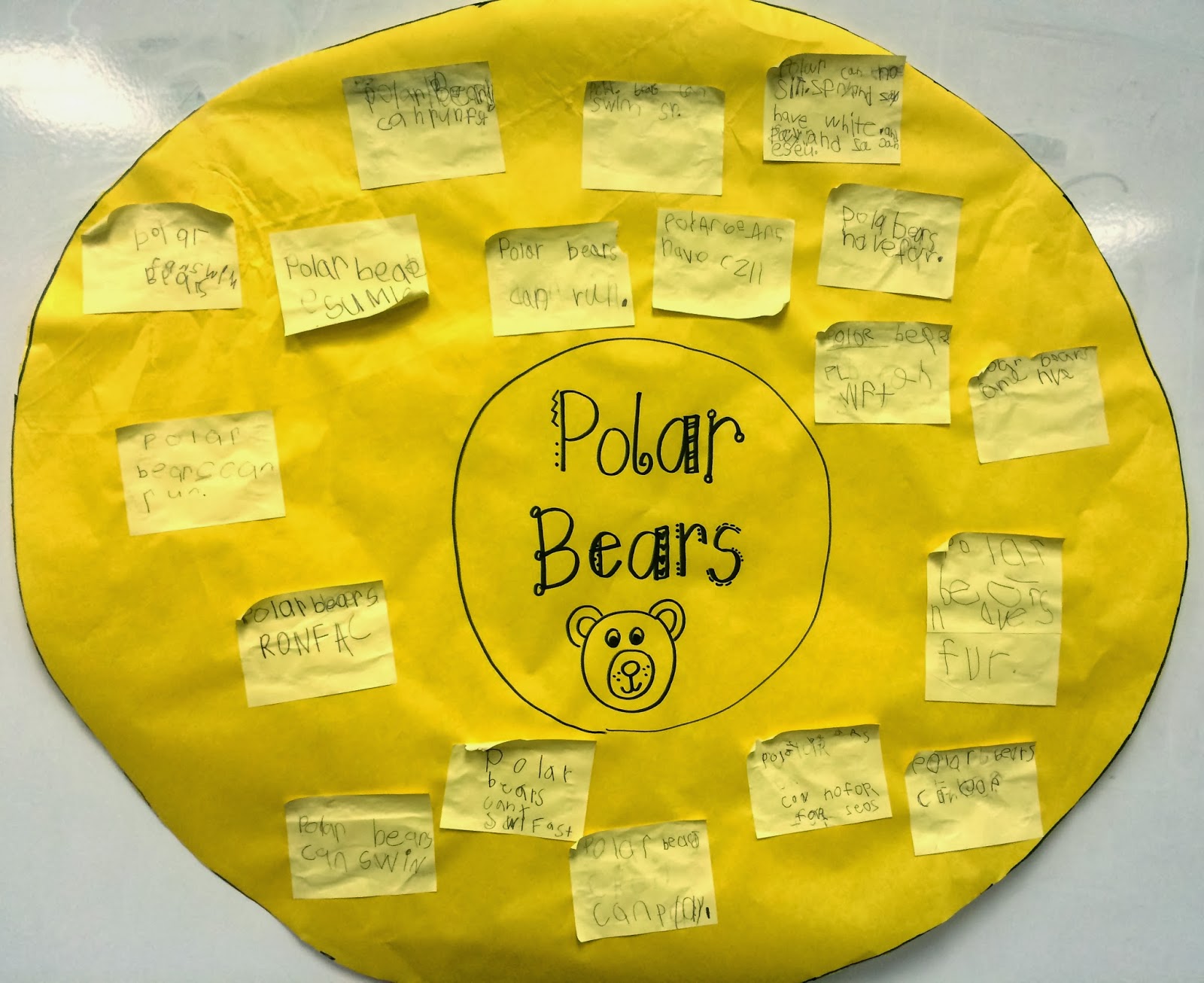 Splendor in Kinder Polar Bear Circle Map and Labeling