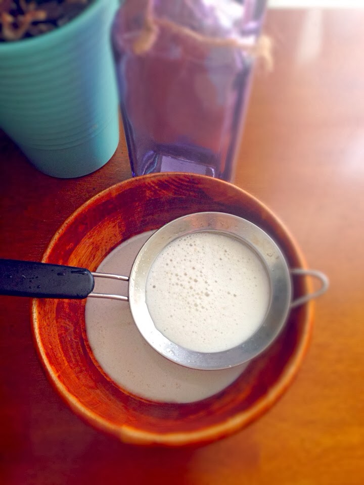 Interval Yoga by Ali Kamenova Homemade Flax Milk