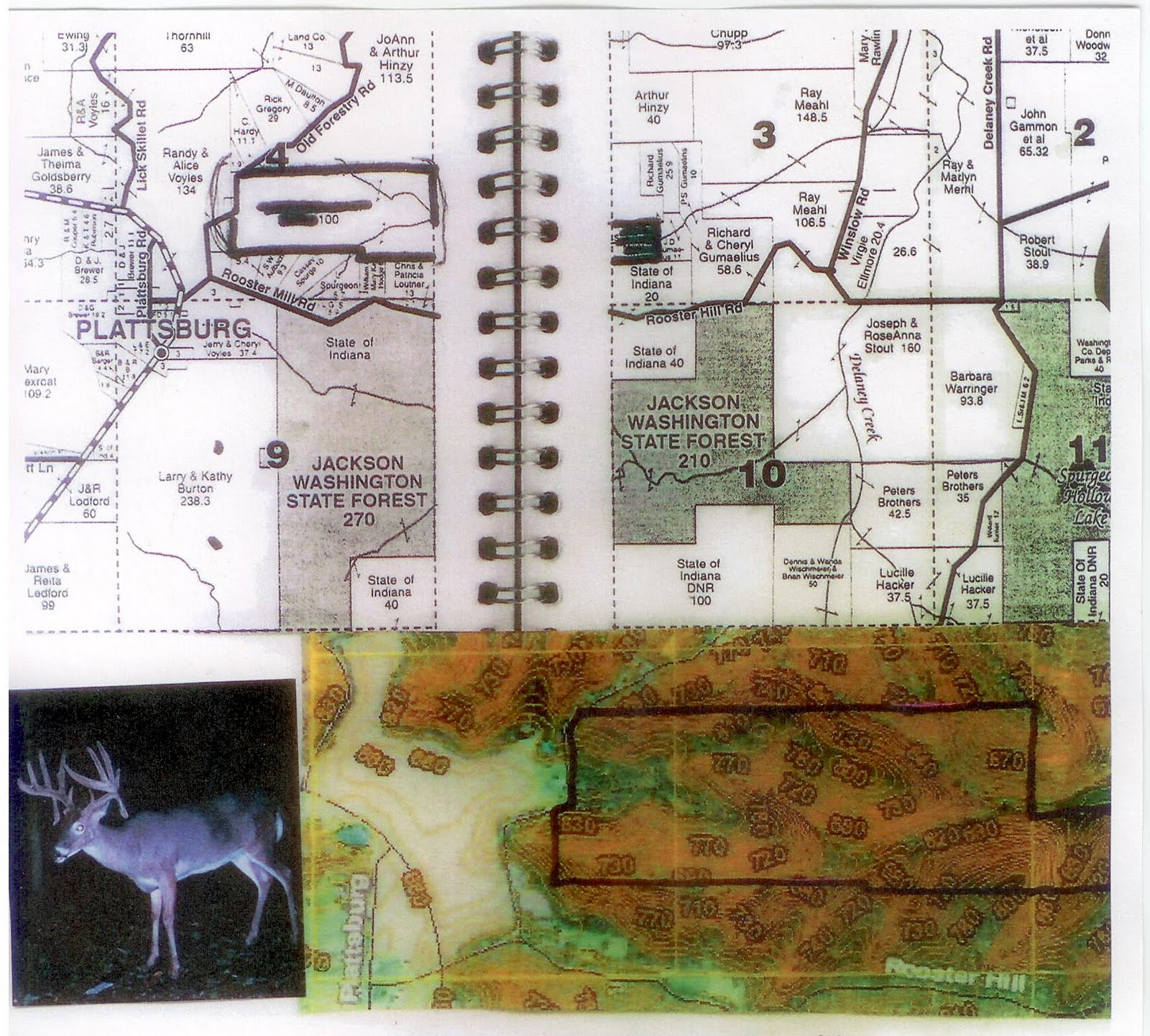 9 West Timber & Consulting: Washington County, Indiana Hunting Lease - 110 Acres 9 West Timber & Consulting: Washington County, Indiana Hunting Lease - 110 Acres