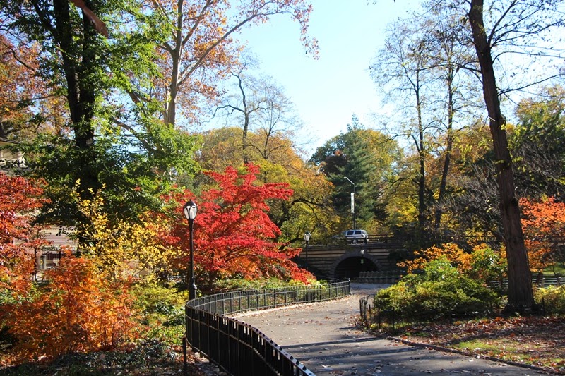 Nasi Lemak Lover: Autumn in Central Park, New York Nov 2014 秋天的中央公园,纽约