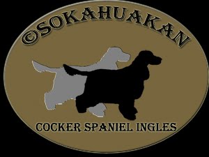 sokahuakan.blogspot.com/2014