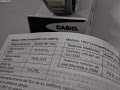 Casio VCL-110
