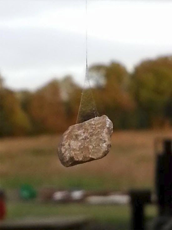 aranha levanta pedra com teia