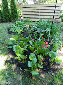 Paul Jung Gardening Services Toronto Mount Pleasant West garden cleanup after