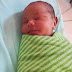 Faiz Mikail Dah Setahun