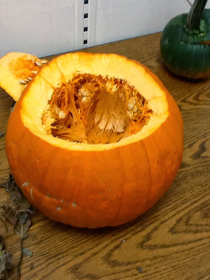 Teaching Science With Lynda: Halloween and Fall Science Favorites