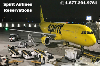 Spirit airlines reservations