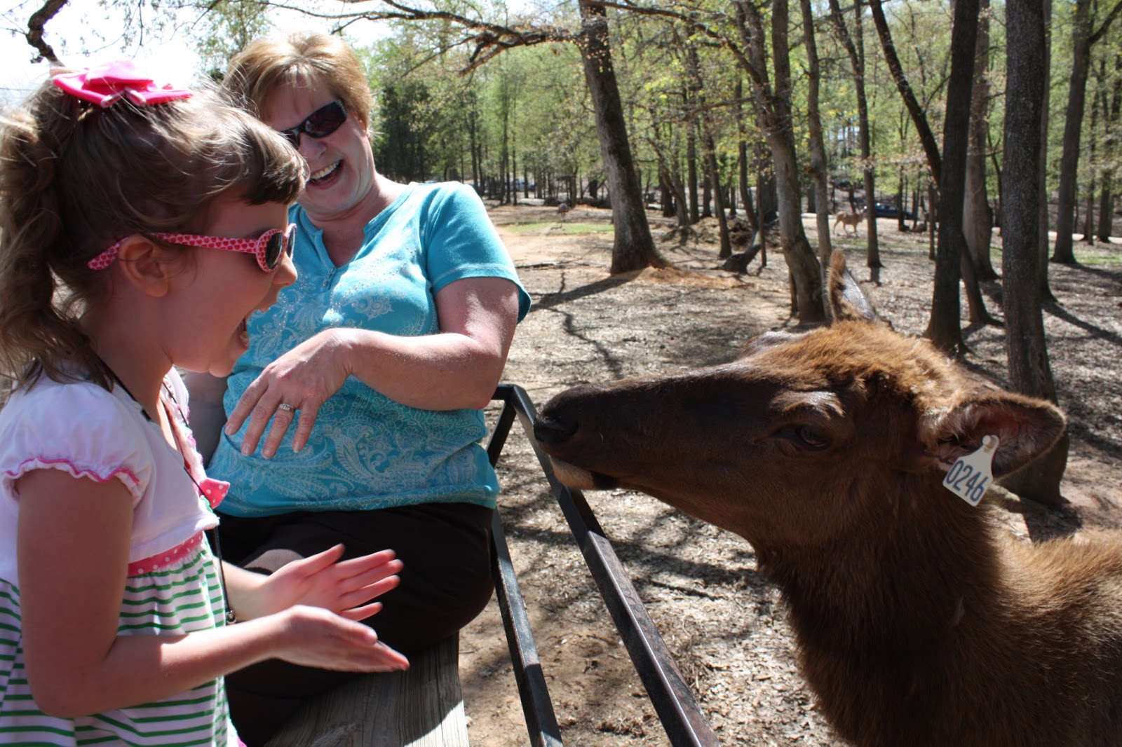 Lazy 5 Ranch in Mooresville, NC Mom About Charlotte