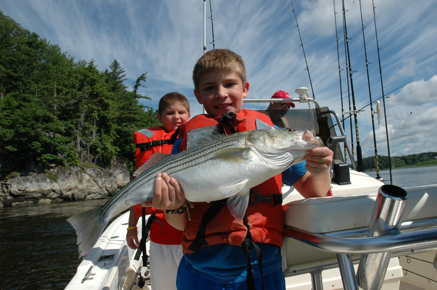Maine Striper Fishing Charters & Reports Hotline 2076910745 Maine
