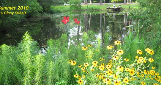 Pond Overflows Into My Property Florida Pond Overflows Into My Property Florida