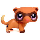 Littlest Pet Shop Pet Pairs Ferret (#1612) Pet