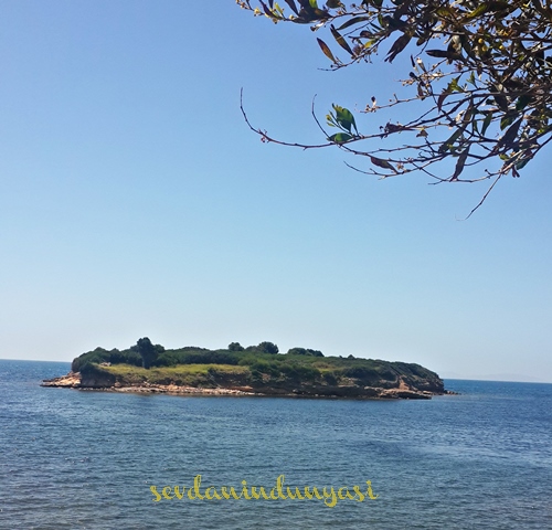 didim tavsan burnu tabiat parki orman