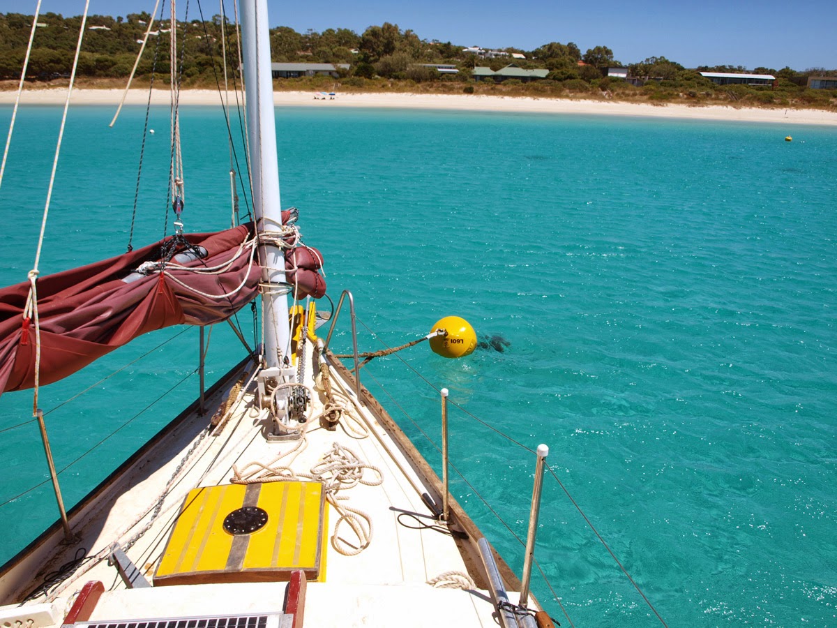 Cruising Ashiki The Race to Eagle Bay