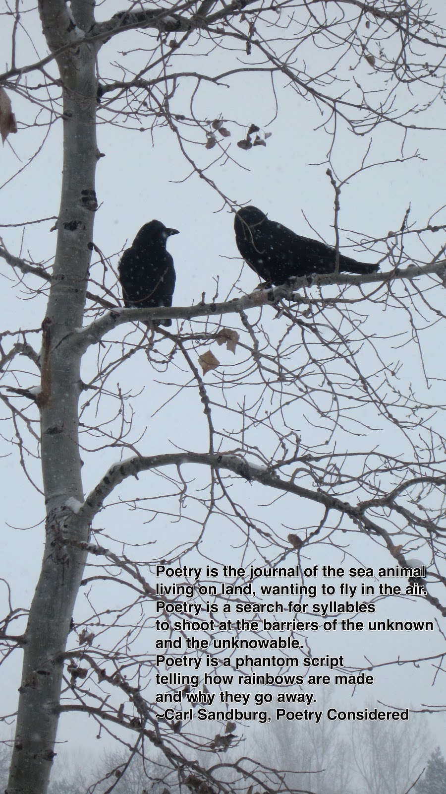 TeacherDance Tabula Rasa