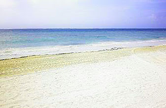 Roban arena de playas de Puerto Morelos; PROFEPA investiga; hoteleros de Cancún entre los sospechosos