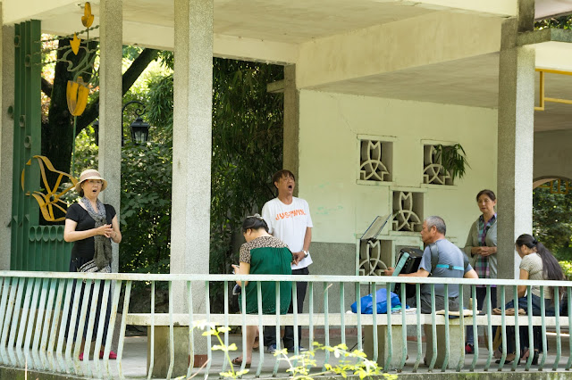 čína, china, šanghaj, shanghai, Fuxing park, French concession, francouzská koncese čína, china, šanghaj, shanghai, Fuxing park, French concession, francouzská koncese