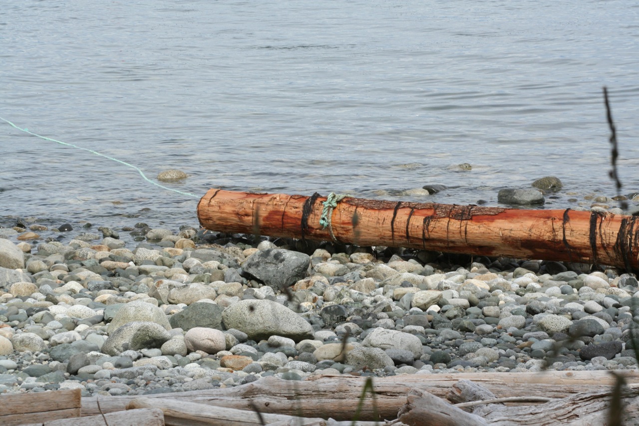 Donivee's Drift Log Salvage