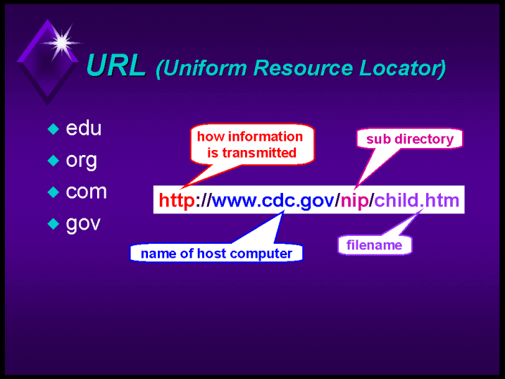 URL Uniform Resource Locator Anime World URL Uniform Resource Locator Anime World