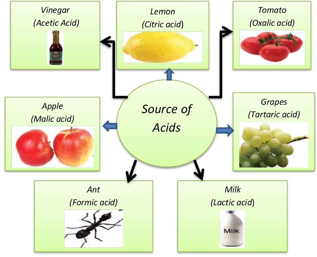 Lesson Plan of Properties and Uses of Acids (Acids, Alkalies and Salts ...