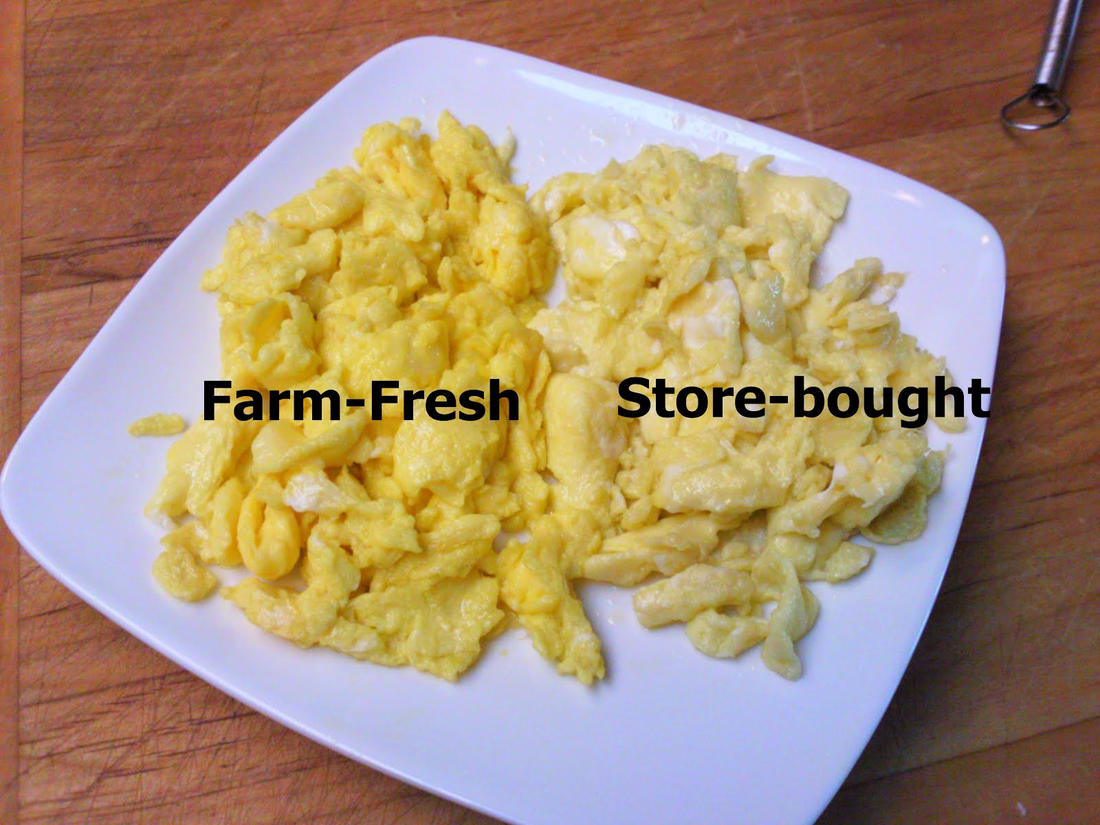 CJ's Kitchen Scrambled Egg & Rice Casserole For 2 Please!