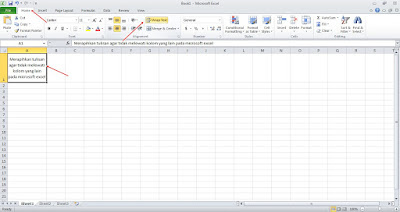Merapikan tulisan agar tidak melewati batas kolom / Fungsi Wrap Text pada Microsoft Excel