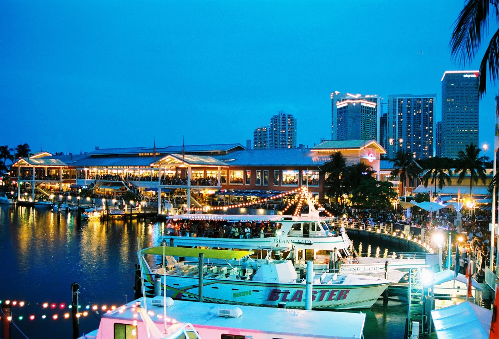 Miami Madness: Attractions Activities Things To Do in Miami Miami Madness: Attractions Activities Things To Do in Miami