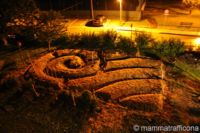 synergic garden by night agricoltura naturale