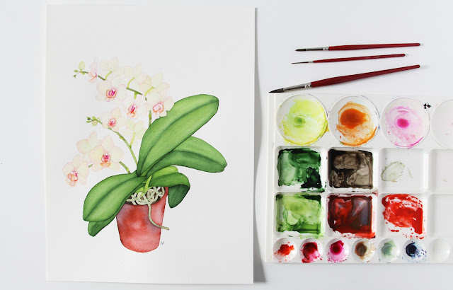 orchid, watercolor orchid, botanical painting, botanical watercolor, houseplant portrait, Anne Butera, My Giant Strawberry