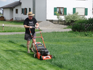 Daniel, Susi und der Hausbau: August 2012