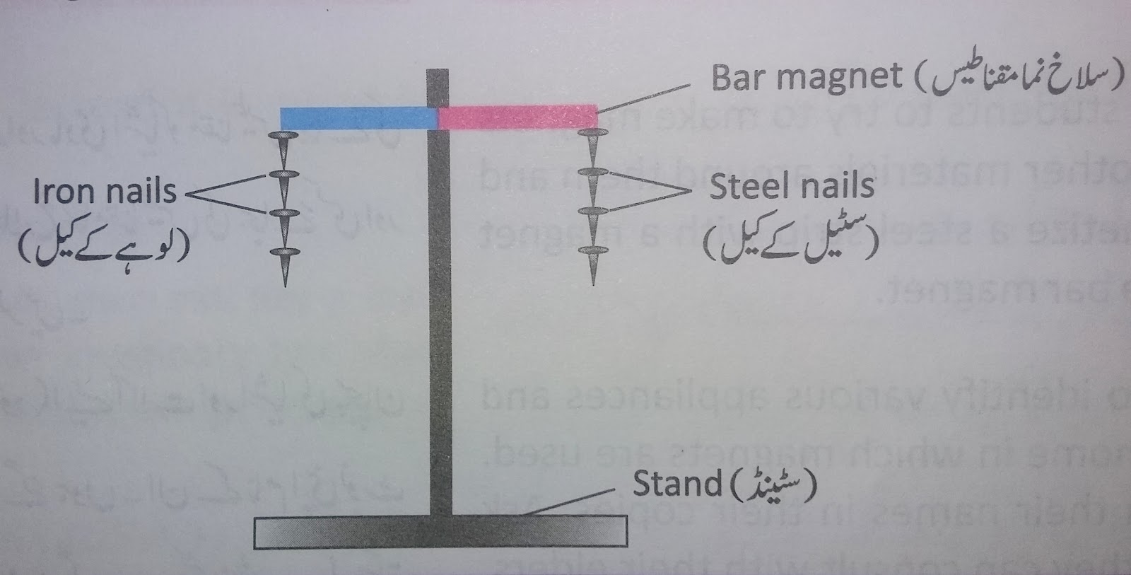 Lesson Plan of Temporary and permanent General Science Grade IV