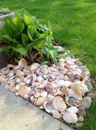 Seashell Garden Landscaping Ideas