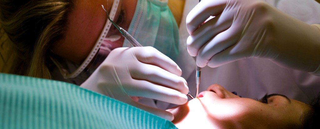 Scientists have found a drug that regenerates teeth, and it could reduce the need for fillings