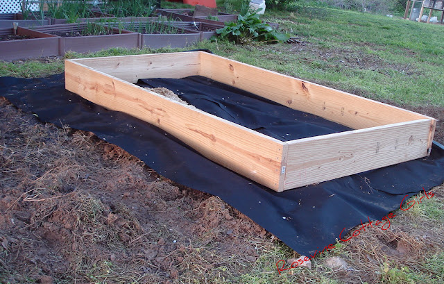Wooden Raised Bed | How to build a raised garden bed, raised bed, easy garden design, raised bed garden, how to make raised bed garden soil, by rosevine cottage girls