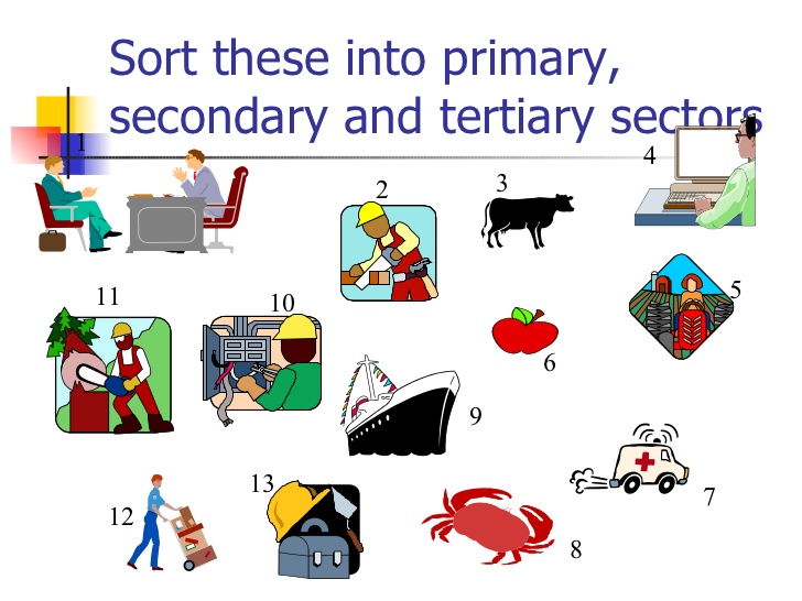 What Is Tertiary Sector what-is-tertiary-sector