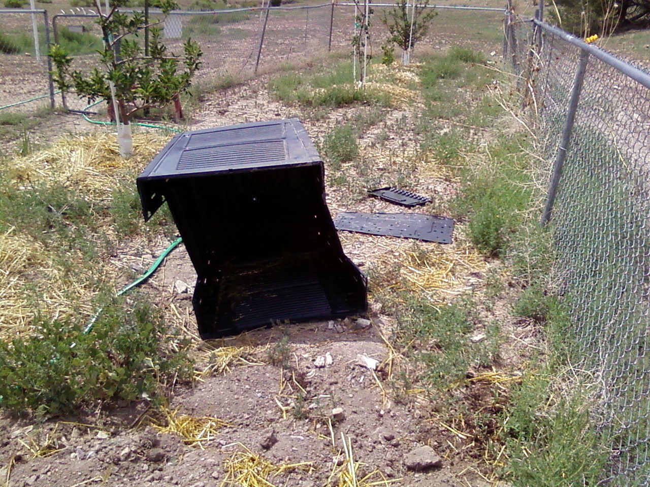Polishing The Double Wide Turd Bear vs. Compost Bin