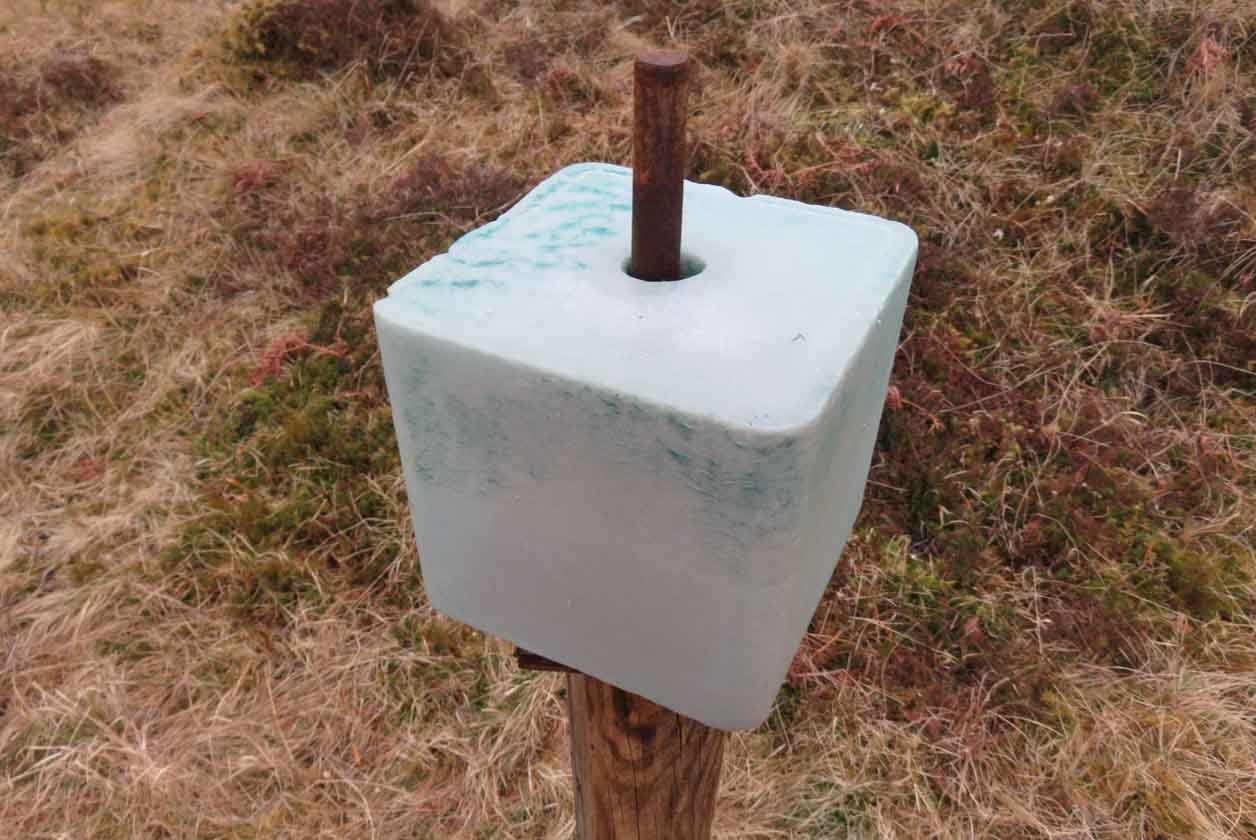 Best of Deer lick salt block lick salt block Deer