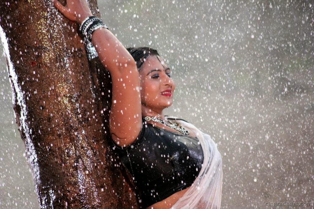 Hot South Indian Aunty In Wet Saree Movieezreel Blogspot