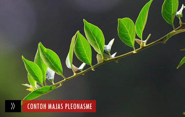 25+ Contoh Majas Pleonasme dan Pengertiannya Lengkap