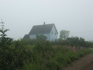 once upon a time in a cottage by the sea ...