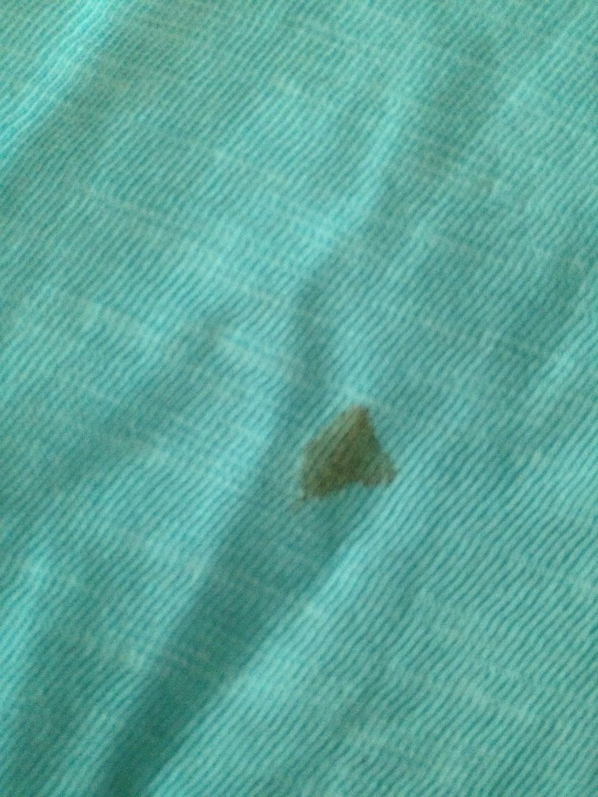 The DIY Guinea Pig Basic Laundry Detergent with Glycerin