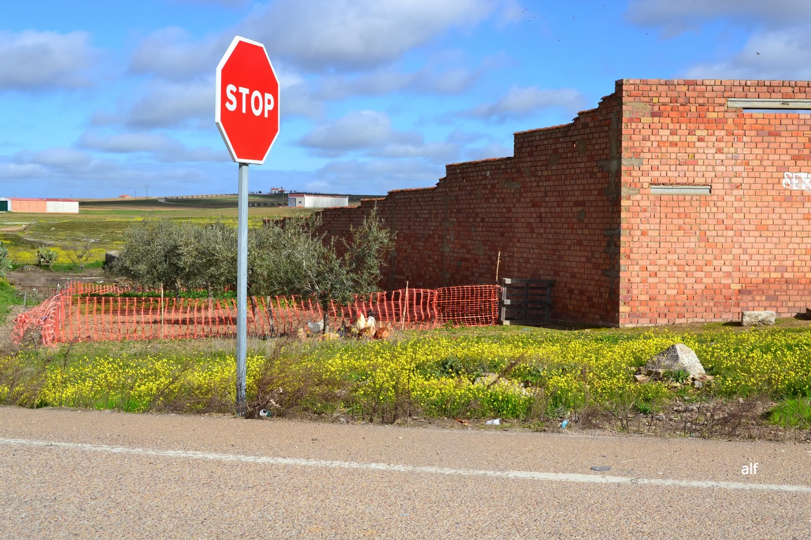 Los Cuatro Pajarracos Cajón desastre 3