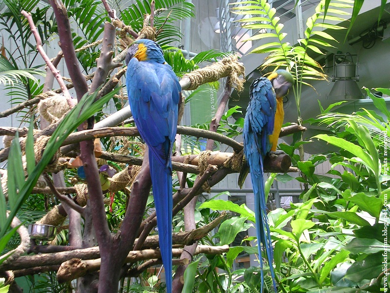 Fun Clicks Calacademy San Francisco Fun Clicks Calacademy San Francisco