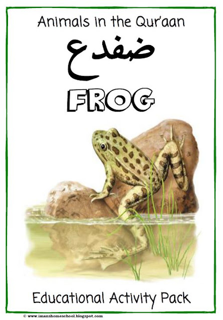 Iman's Home-School: Frogs Activity Pack