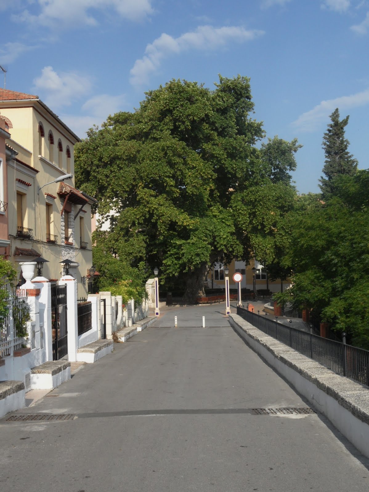 APIARIUM *Callejero de Biarrecorrido fotográfico (XI) Paseo del Plátano.