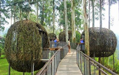 Paket Wisata Bandung Pesona Alam Dusun Bambu Bandung