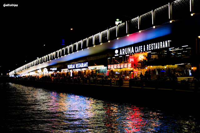 Crucero por el Bósforo y la noche turca - Estambul - Recuerdo de Constantinopla (6)