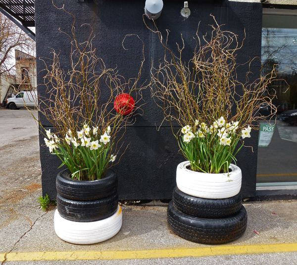 Occasional Toronto Planters