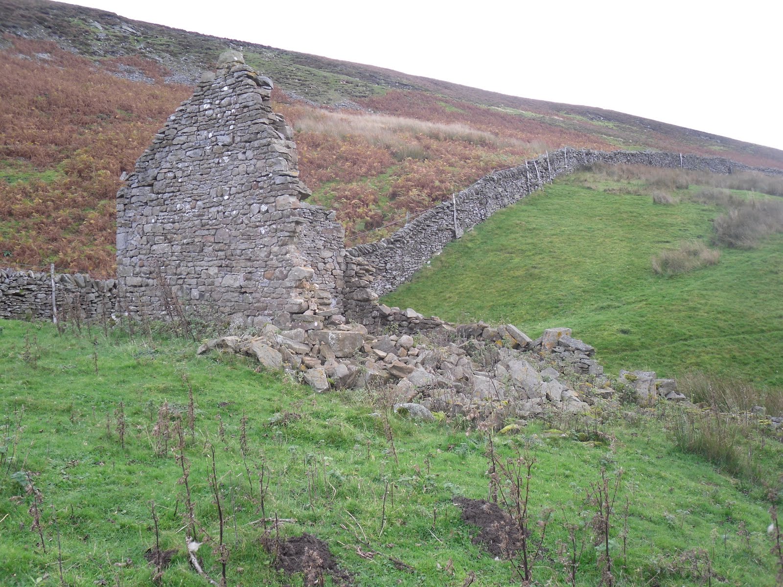 Rambling Nana Stanhope & Wolsingham Park Moor