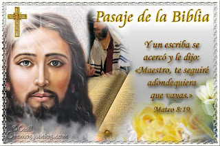 Resultado de imagen para Mateo 8,19