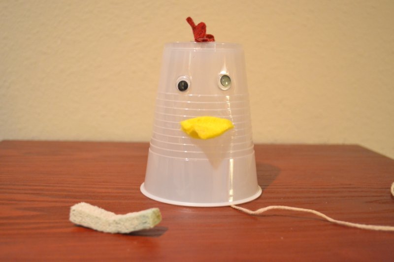 bible-class-creations-creation-chicken